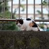 寒いね