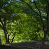 DSCF8318