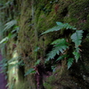 DSCF0503