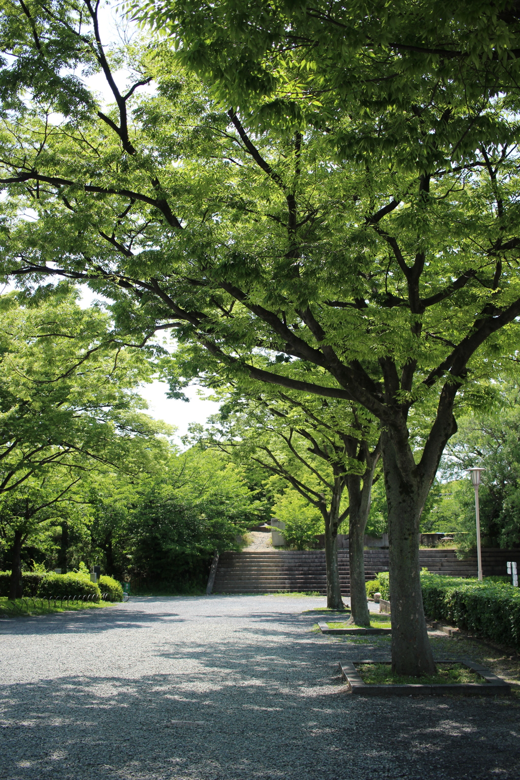 Osaka castle