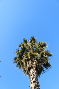 青空