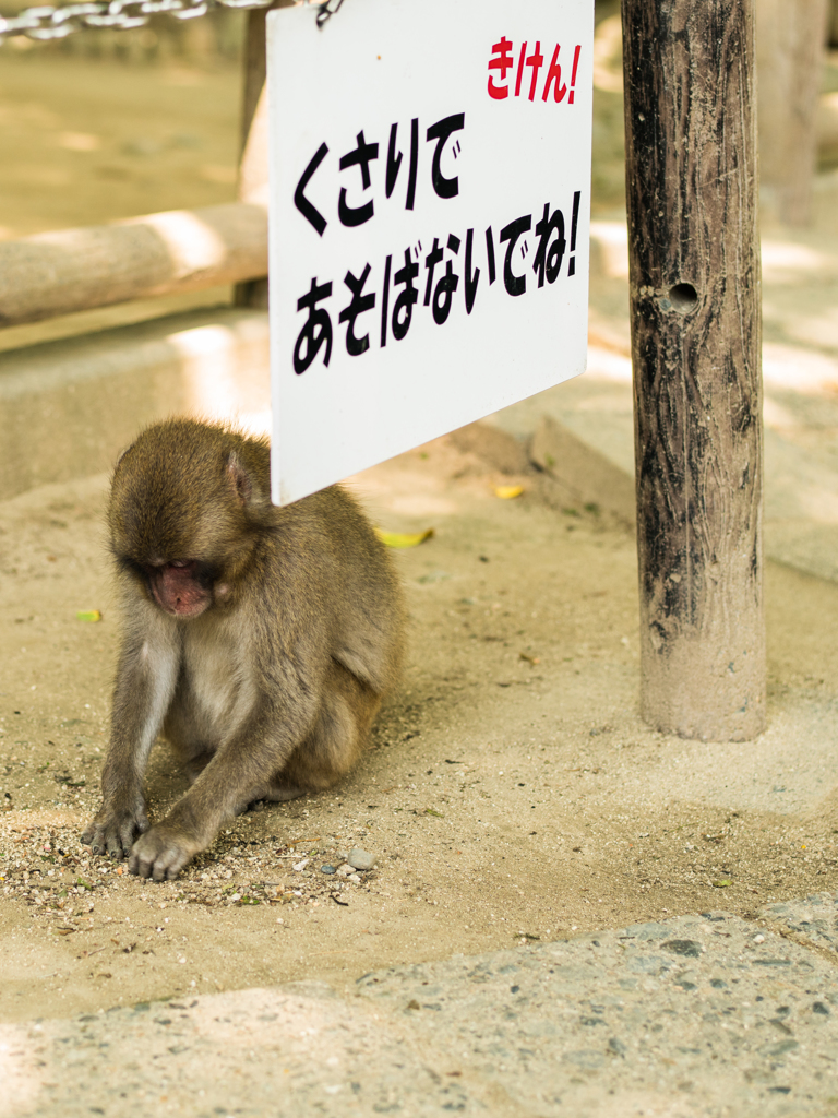 「ちょっとくらい良いやんか...」