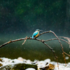 雨ニモマケズ