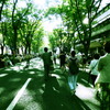 真昼の歩行者天国