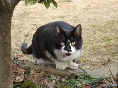 気になる