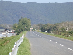 田舎の一本道