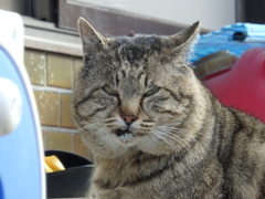 口になんかついてる