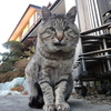 じわる