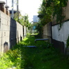 涼しげな用水路
