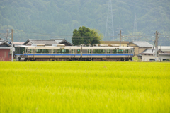 田園の中をトコトコと