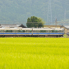 田園の中をトコトコと