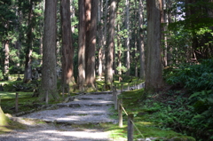 参道