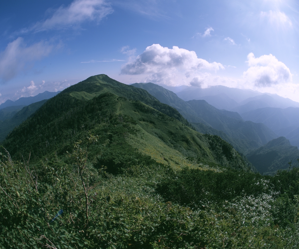 裏岩菅山