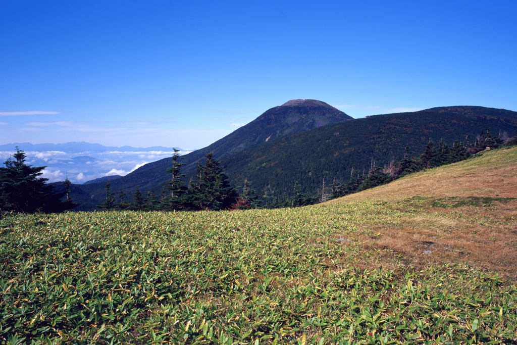 双子山