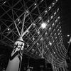 東京ドーム