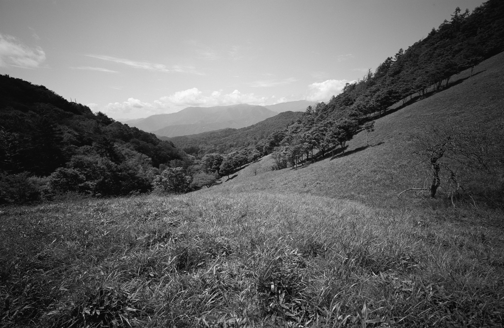 雁峠(奥秩父)