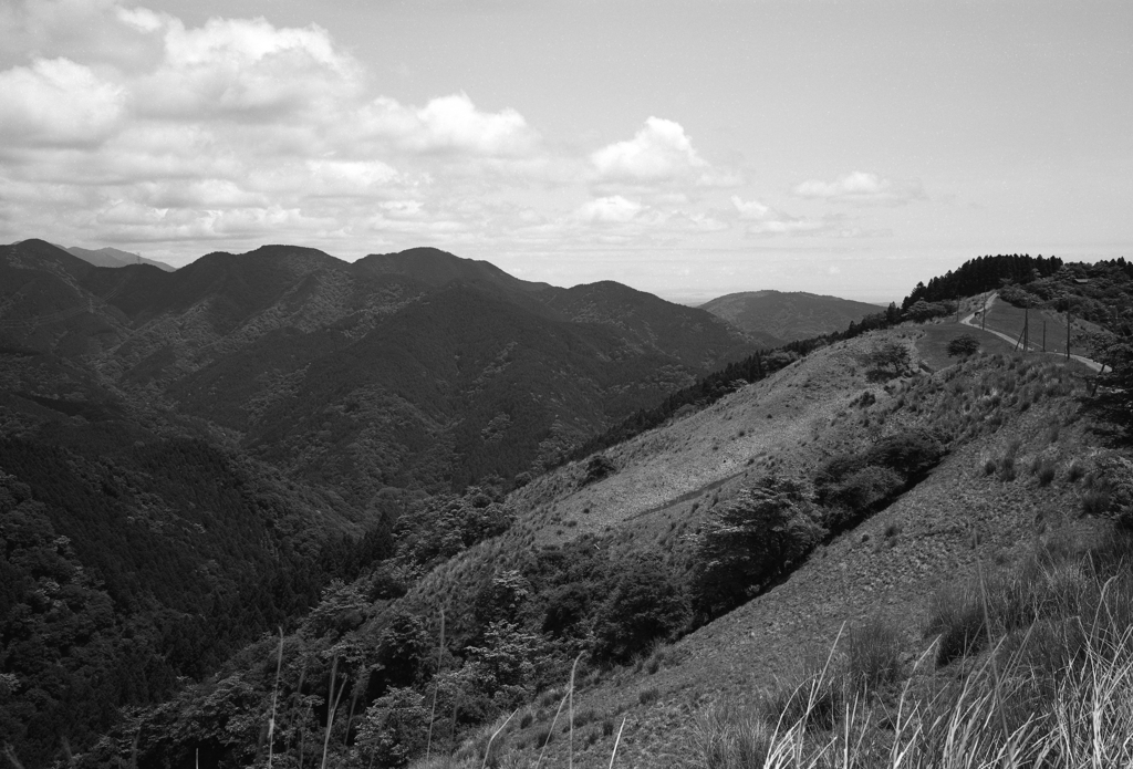 大野山(丹沢方面)