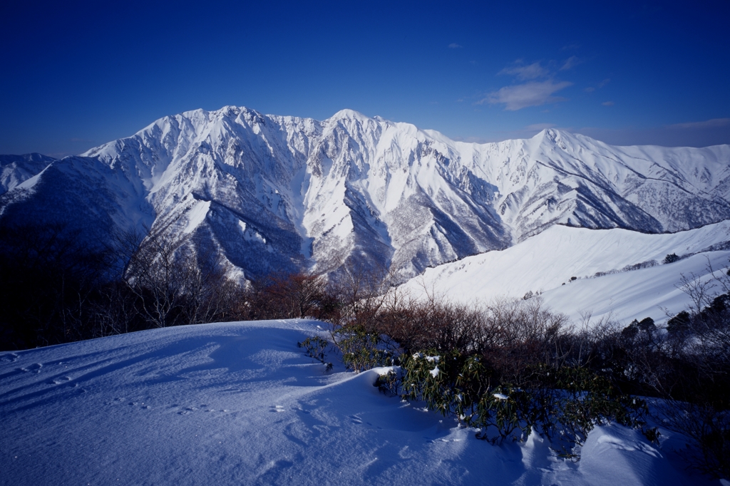 松ノ木沢の頭（谷川岳）