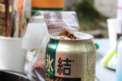 堪んねぇな！
