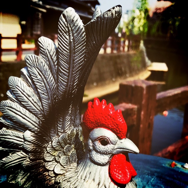 にわとり