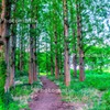初めてのHDR（テスト）