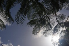 ホイヤンの空