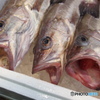 新鮮 魚市場