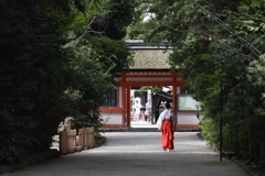 下鴨神社