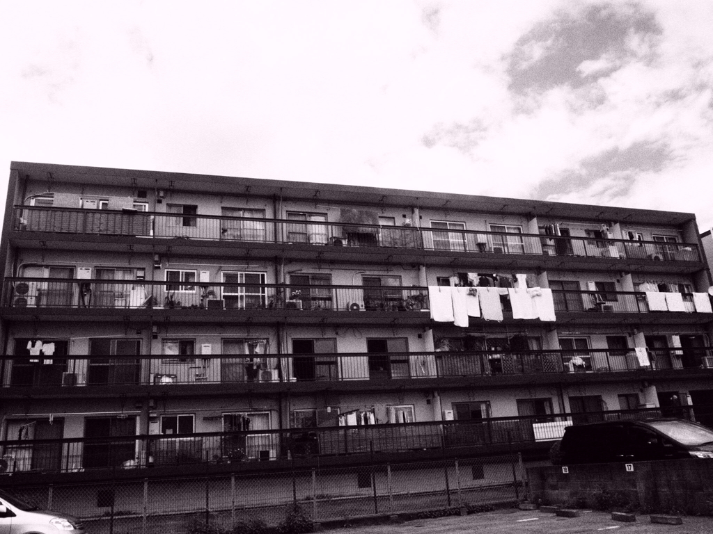 windows