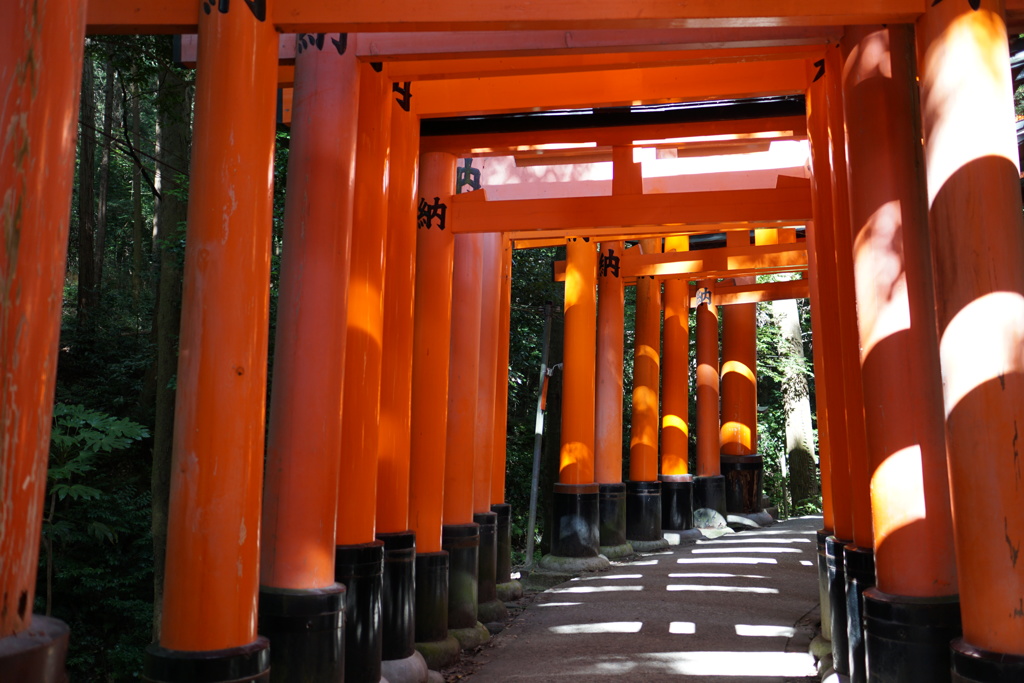伏見稲荷
