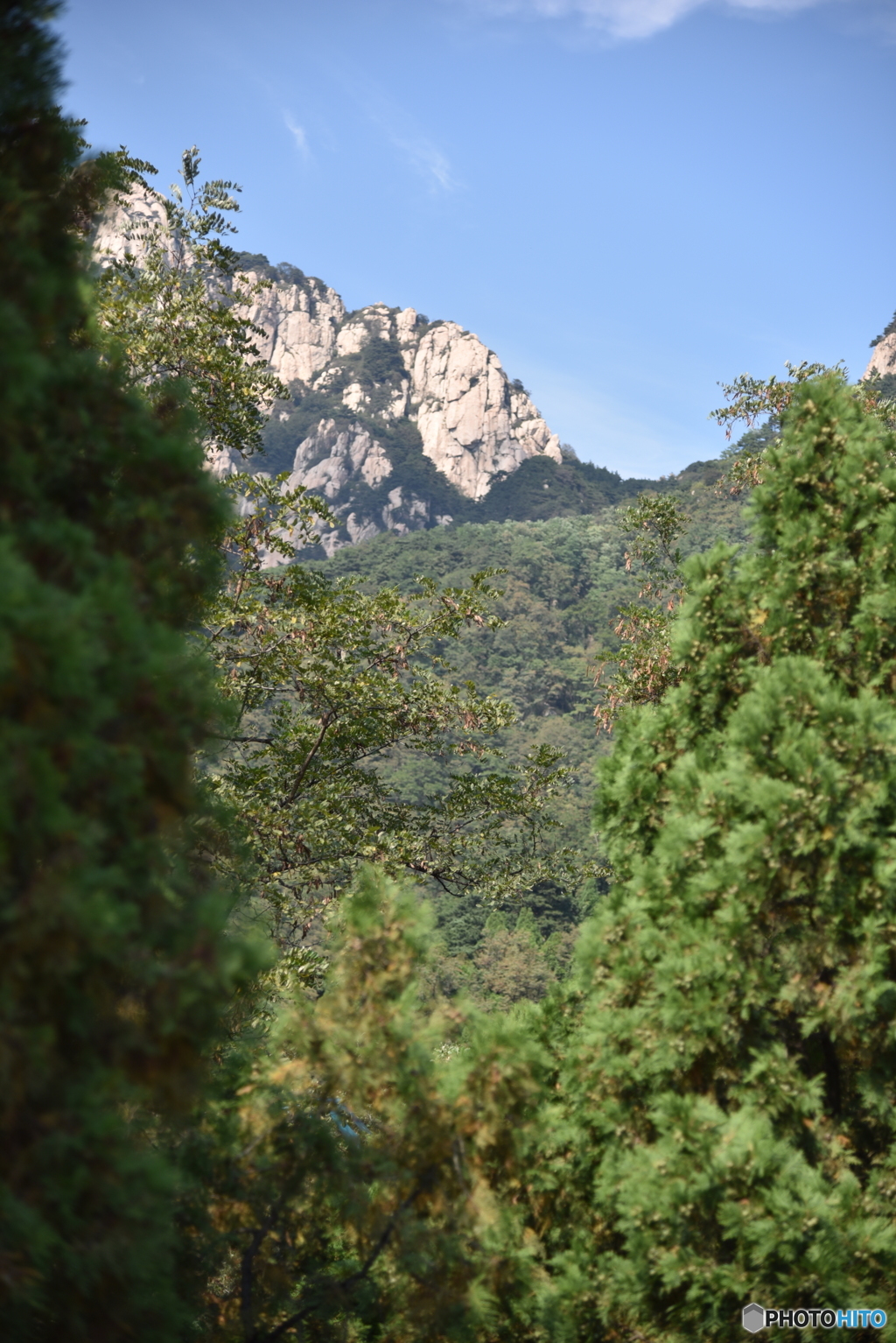 隙間からの泰山