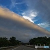 モーニング・グローリー