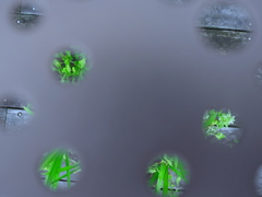 穴