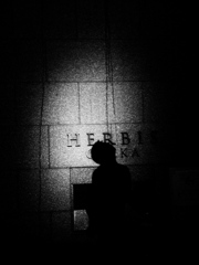 見上げる