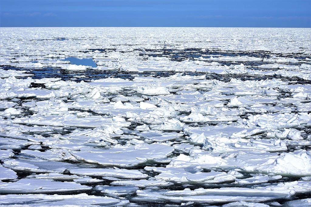 オホーツク海の流氷