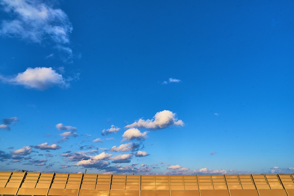 西日な空