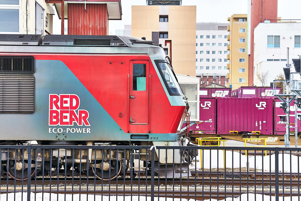 RED BEAR