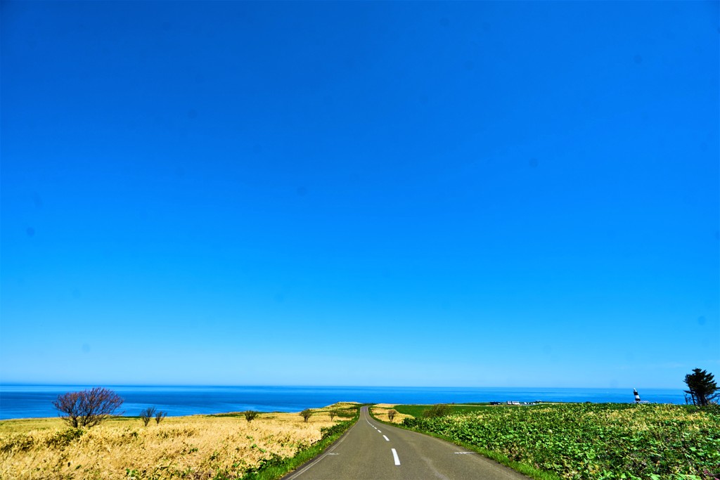 岬へ続く道