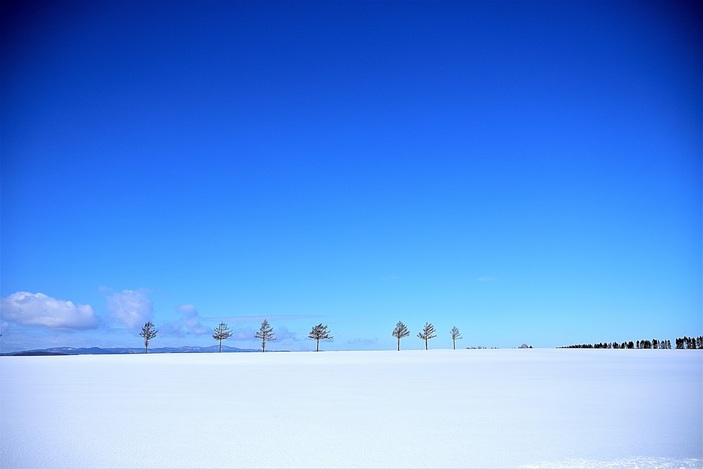 メルヘンの丘2017..冬 