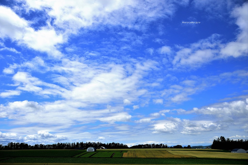 秋の空