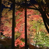 momiji