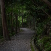 道