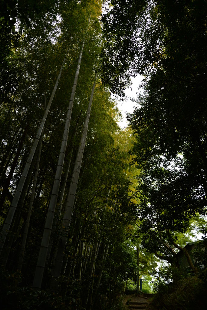 光 お寺