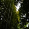 光 お寺
