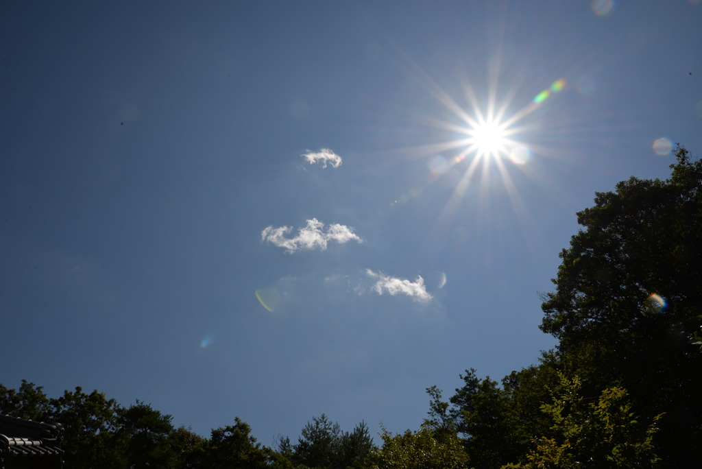 夏の空