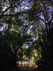 三田神社