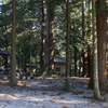 仲山神社　境内