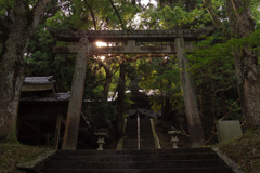 高倉神社　鳥居