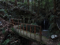 白高大神