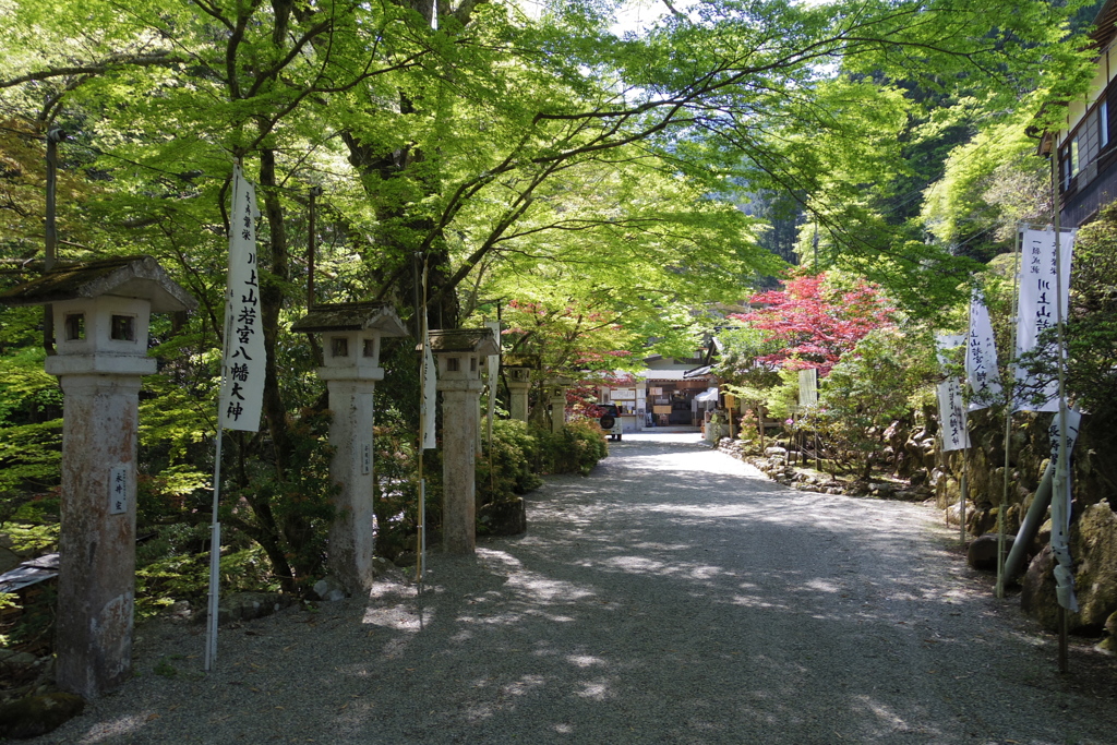 川上若宮八幡宮　参道